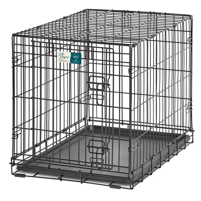Midwest Homes For Pets MidWest Homes for Pets Life Stage Single Door Dog Crate Reviews Wayfair Canada